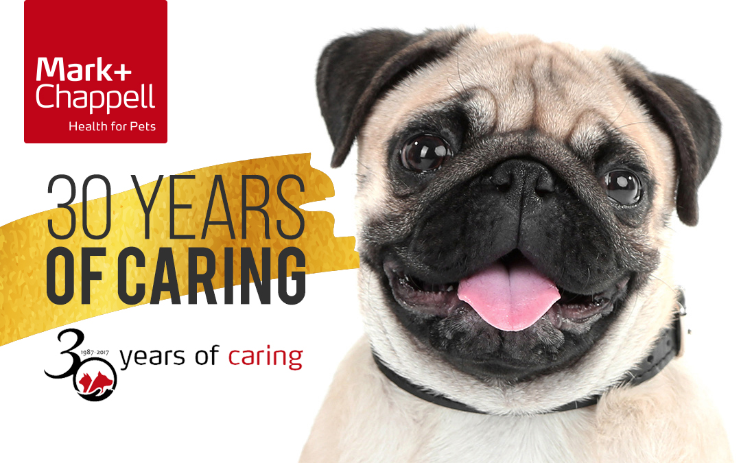 Pug image with 30 Years of Caring text