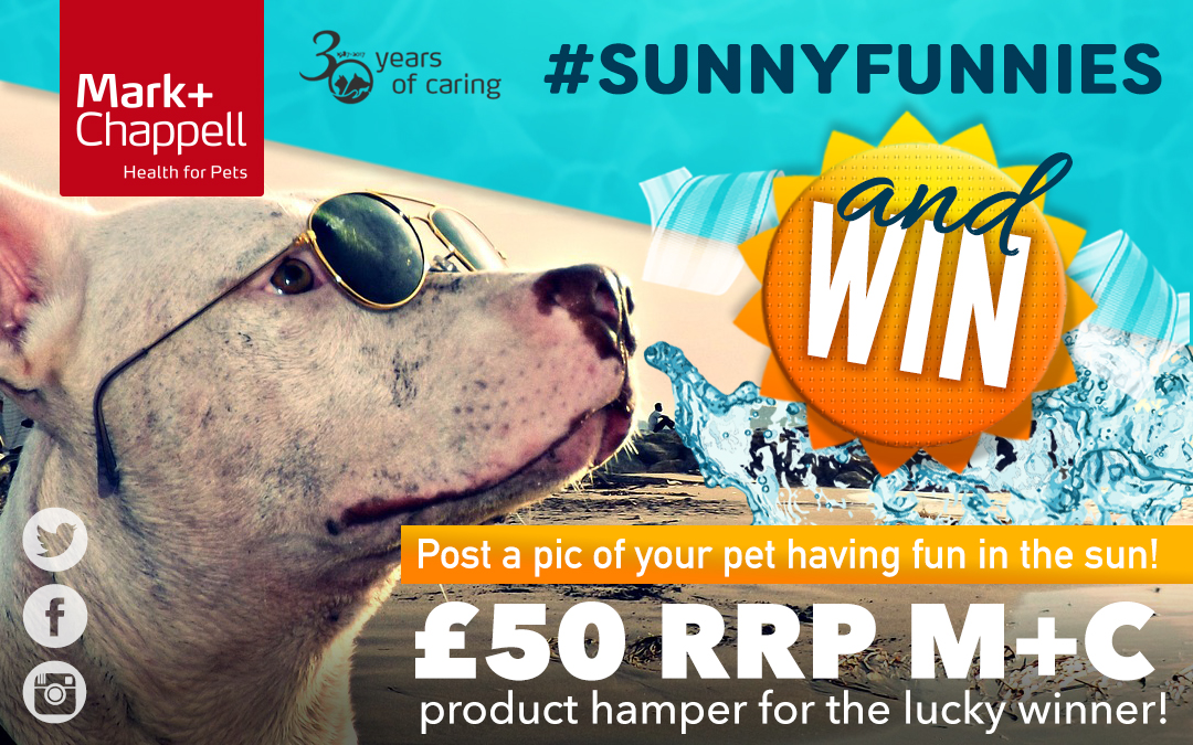 M+C Sunny Funnies Competition. £50 product hamper for the winner