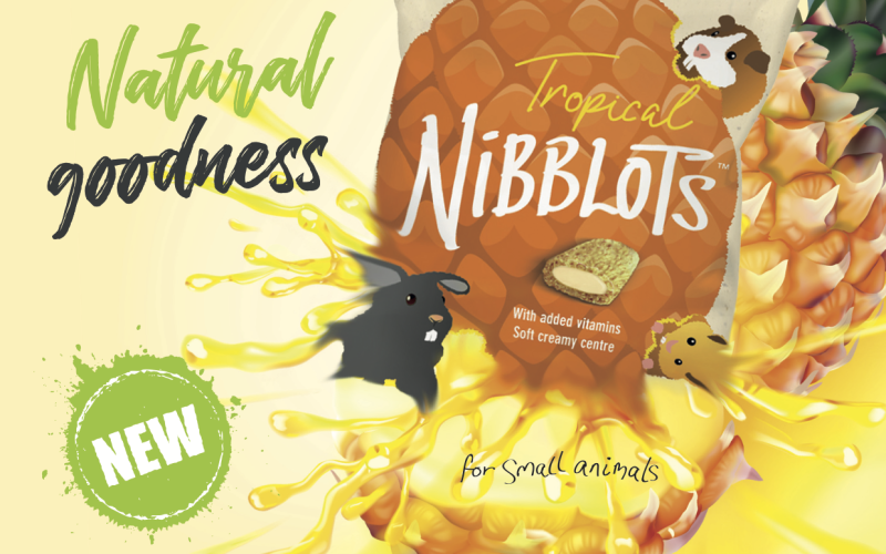 Mark and Chappell Nibblots Tropical feature image