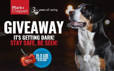 November Giveaway 2019 – Stay Safe, Be Seen!
