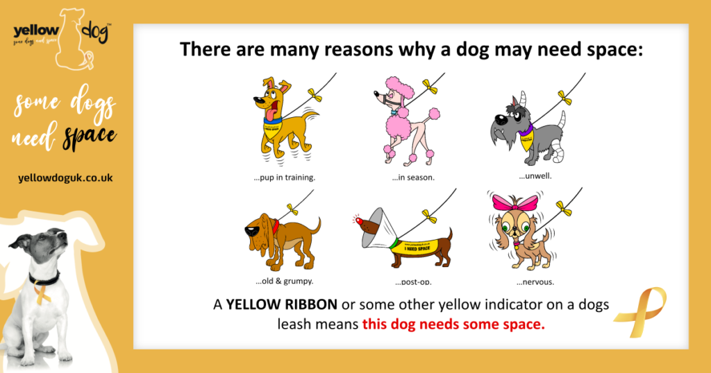 Why Some Dogs Need Space
