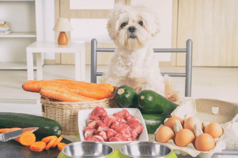 Weight Management Tips For Dogs