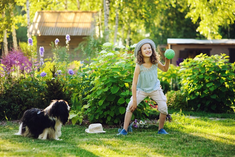 How To Keep Your Lawn Green With Dogs