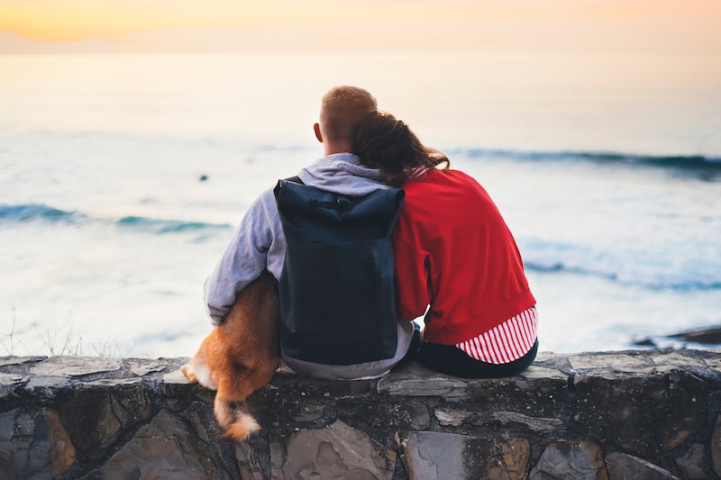 A Guide To Staycations With Your Pets