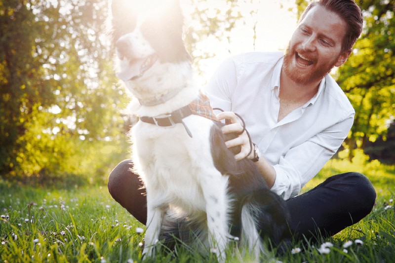 The Dog Breeds Most Prone to Anxiety 2 - Mark + Chappell