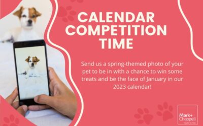 Calendar Competition – January 2022