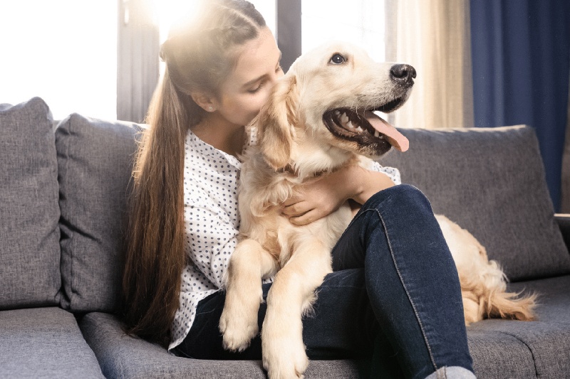 Top Tips On How To Care For A Blind Dog