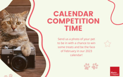 Calendar Competition – February 2022