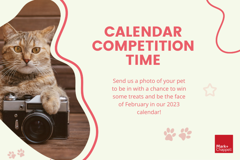 M+C feb calendar competition graphic for website