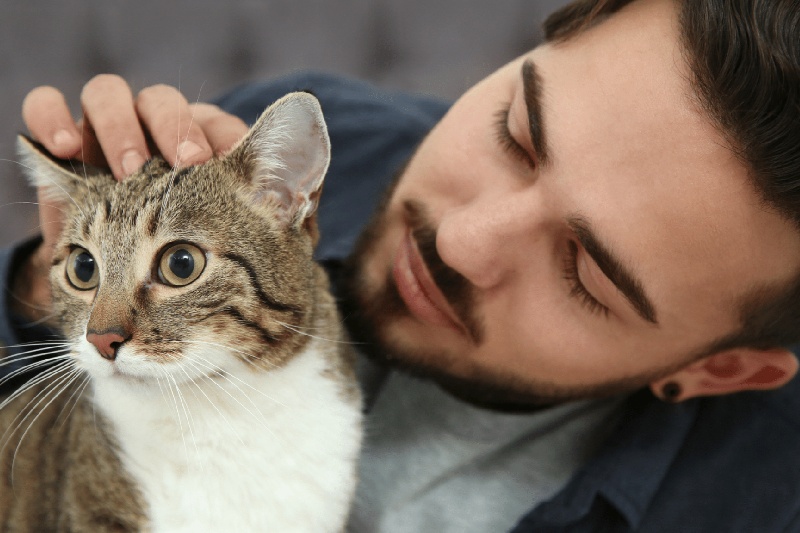 Why Does My Cat Constantly Meow - What You Need to Know About Excessive Feline Vocalisation - Mark + Chappel (2)