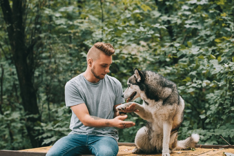 Why Does My Dog Keep Biting Its Paws? Excessive paw biting explained