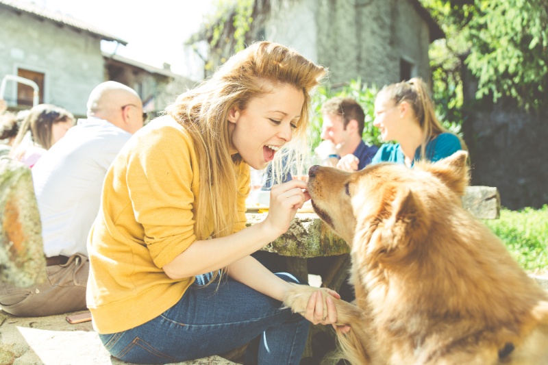 Advice For Keeping Dogs Safe At Barbecues - VetIQ (1)