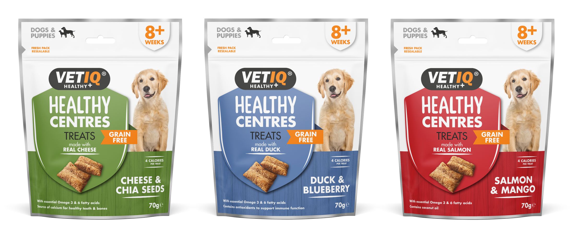 Tips For Helping Your Dog Lose Weight This Autumn - VETIQ (2)