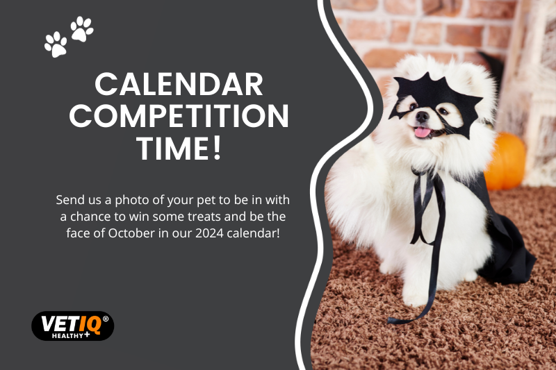 Pet Calendar Competition 2 October 2023 - VETIQ UK