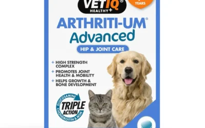 VETIQ Arthriti-Um Advanced 45 Tablets