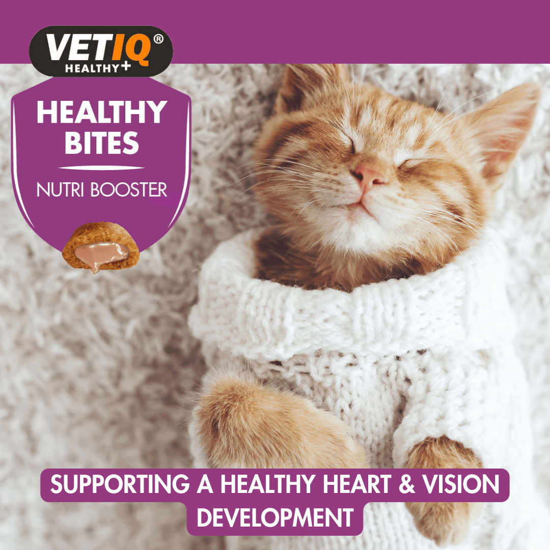 VETIQ Healthy Bites Nutri Booster for Cats - Lifestyle 2