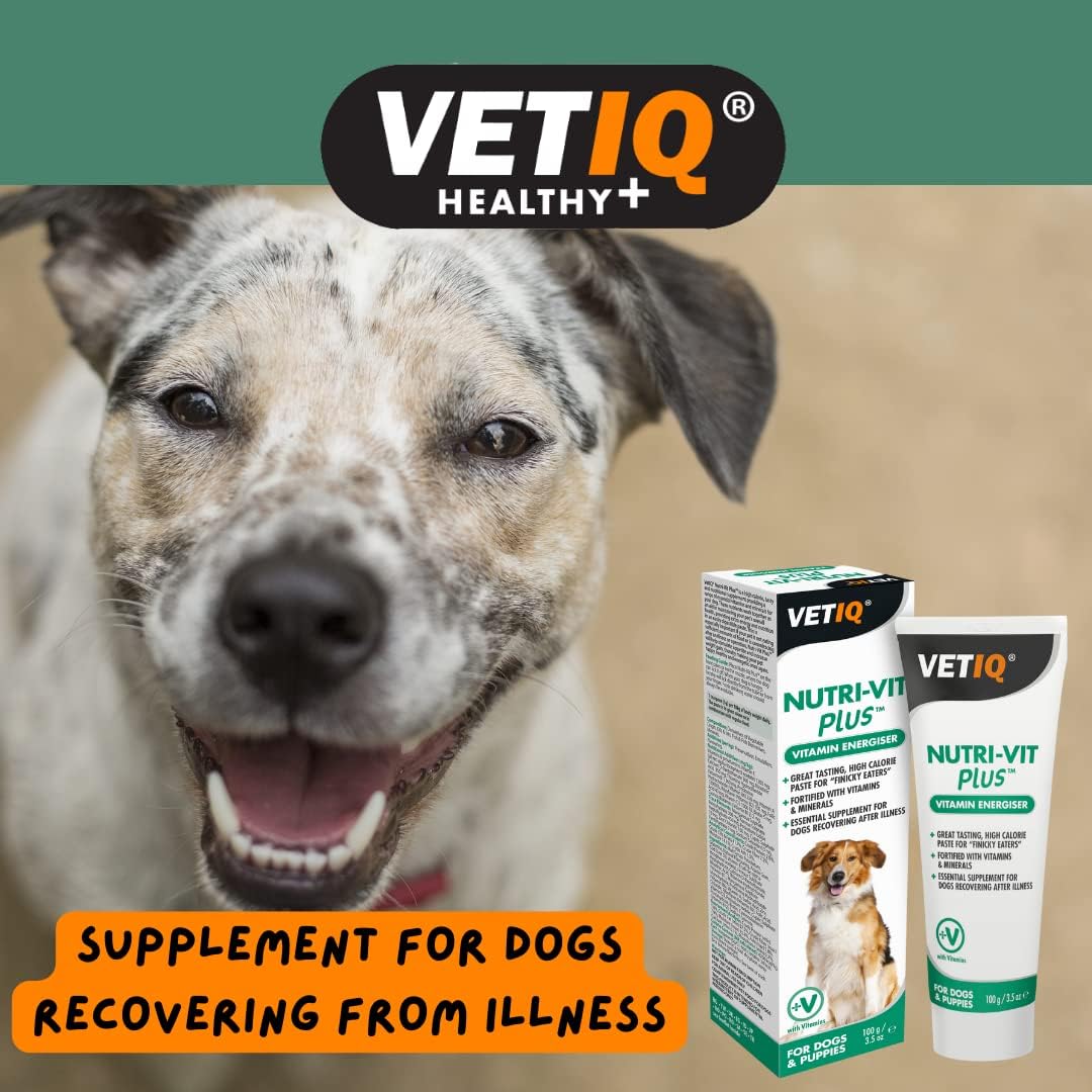 VETIQ® Nutri Vit Plus For Dogs VETIQ Healthy+