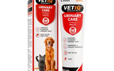 VETIQ Urinary Care Paste 100G