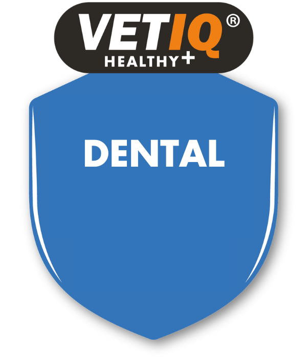 VETIQ Dental Range