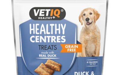 Healthy Centres Duck & Blueberry Dog Treats
