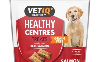 Healthy Centres Salmon & Mango Dog Treats