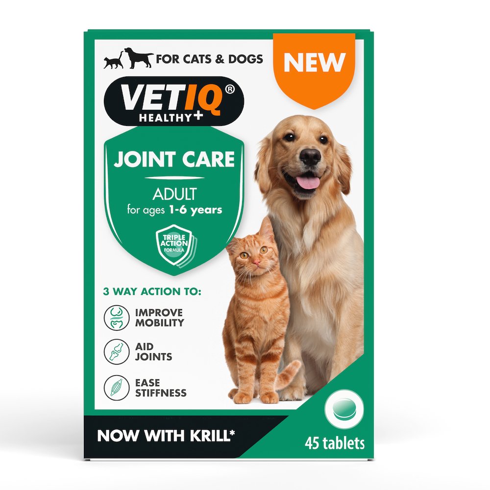 Easing The Aches - Dealing With Joint Problems In Cats - VETIQ (3)