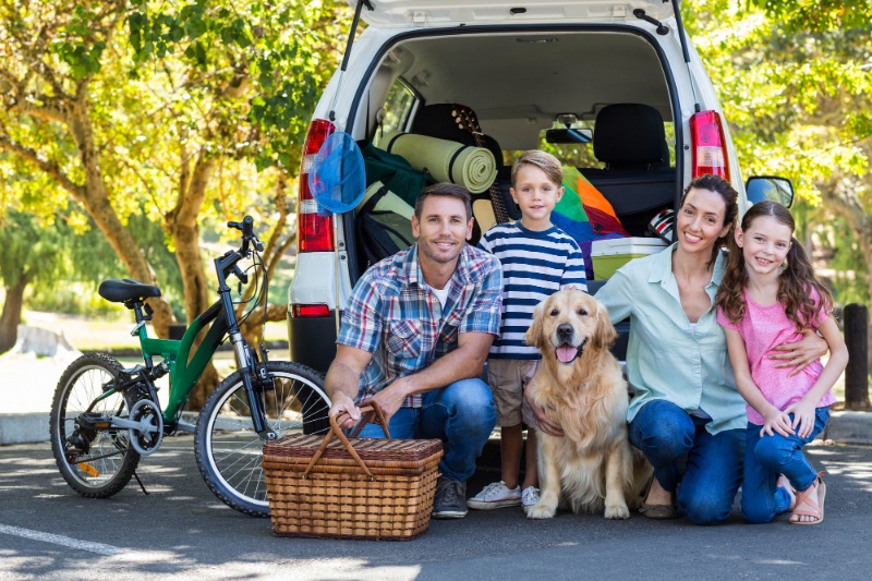 Great Tips For Travelling With Pets This Summer - VETIQ (6) - VETIQ Healthy+ Great Tips For Travelling With Pets This Summer - VETIQ (6)