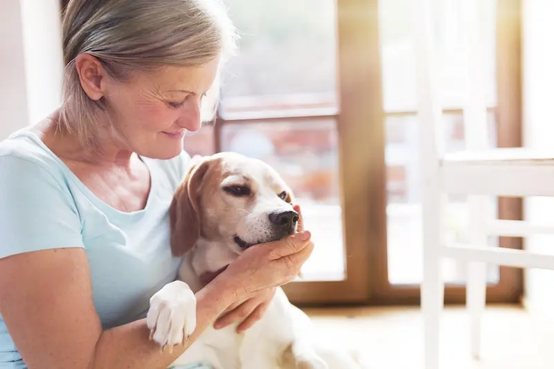 Benefits Of Natural Pet Supplements – VETIQ Benefits Of Natural Pet Supplements - VETIQ