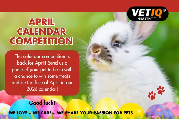 April Calendar Competition