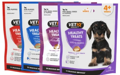 Healthy Treats For Puppies Variety Pack, 4 x 50G