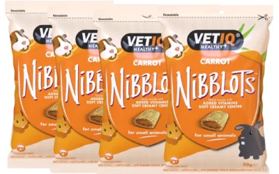 Nibblots For Small Animals Carrot 30G, Multipack