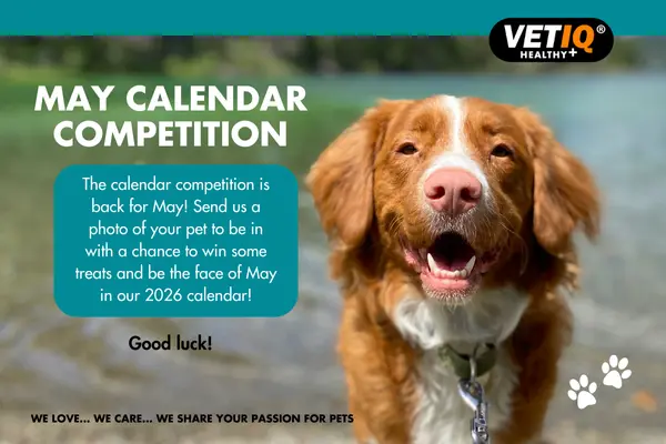VETIQ Calendar Competition – May 2025