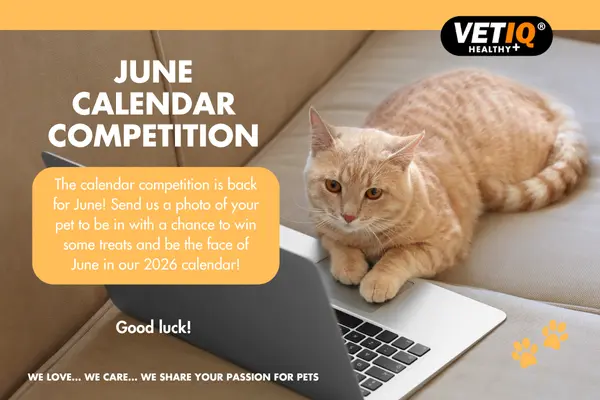 VETIQ Calendar Competition June 2025