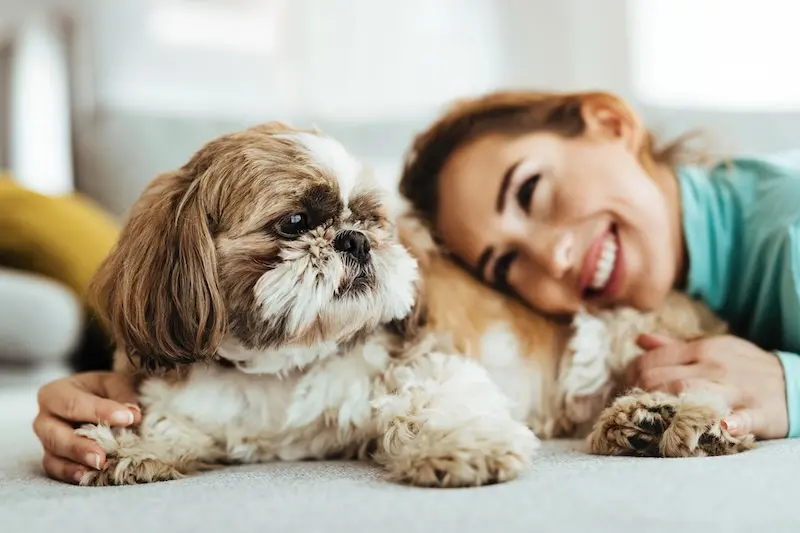 How To Deal With Prevent Dog Diarrhoea - VETIQ (3)