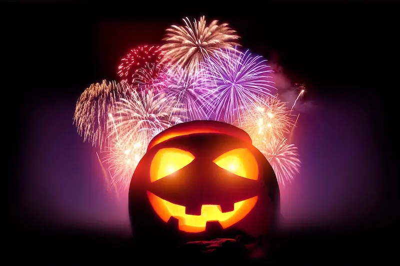 How To Keep Pets Calm During Fireworks - VETIQ (2)