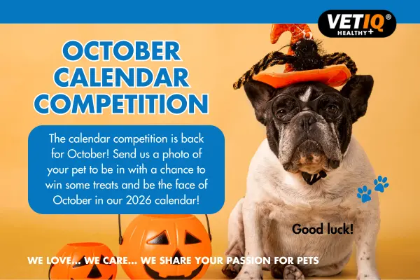 VETIQ Calendar Competition October 2025 VETIQ Calendar Competition October 2025