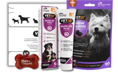 VETIQ Dog & Puppy Wellness Pack – Calming & Nutrition Support