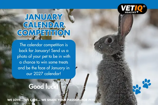 VETIQ Calendar Competition January 2026
