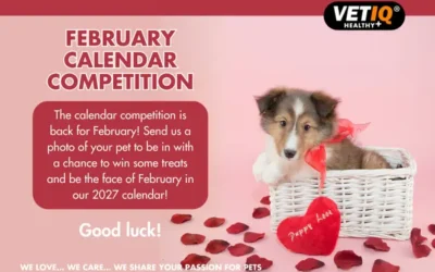 VETIQ Calendar Competition – February 2026