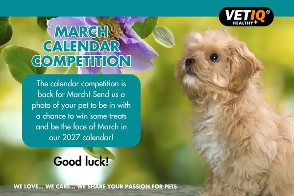 VETIQ Calendar Competition – March 2026