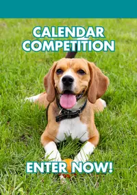 Dog sitting on grass with tongue out; poster inviting viewers to a Calendar Competition — Enter Now!