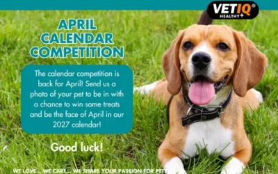 VETIQ Calendar Competition – April 2026