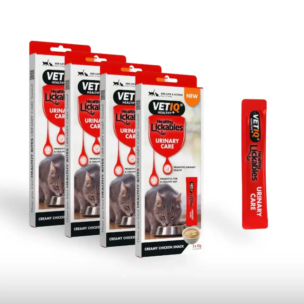 VETIQ Healthy Lickables Urinary Care Multipack 1