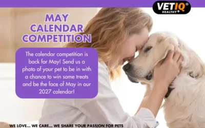 VETIQ Calendar Competition – May 2026