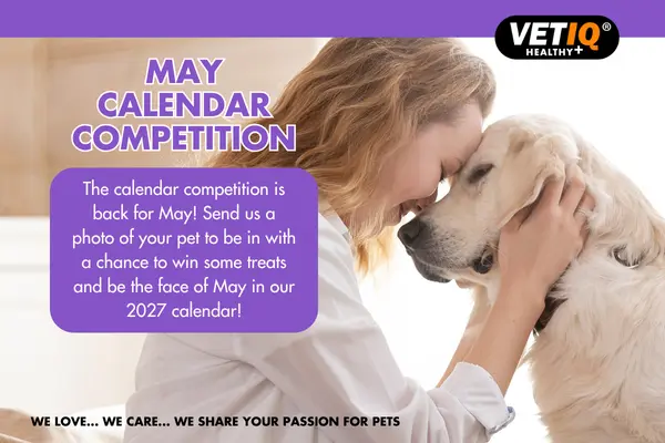 comp website image – may VetIQ May Calendar Competition banner with a woman and her dog encouraging pet photo submissions.