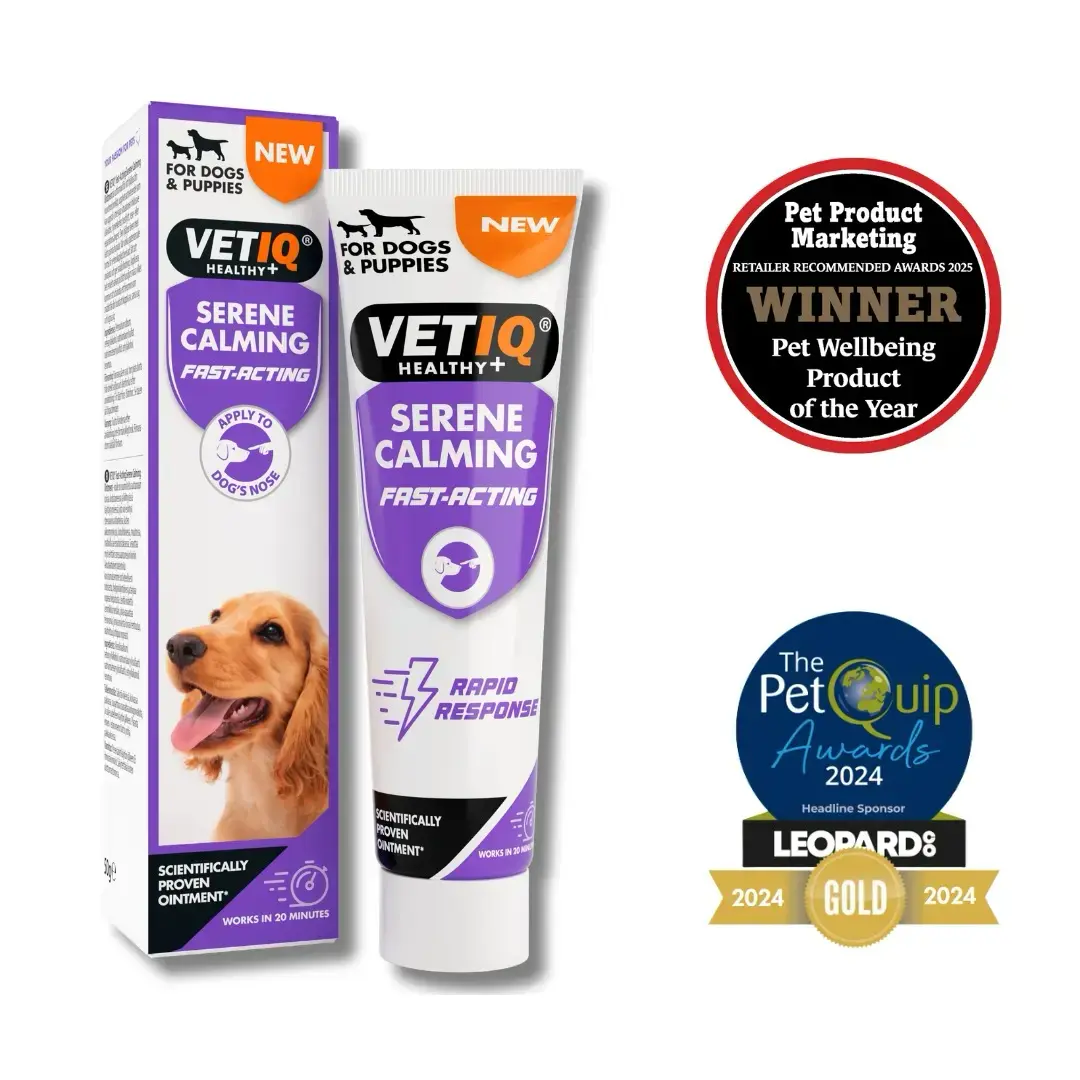 6 Tips For Reducing Dog Anxiety During Long Car Journeys - VETIQ (4) - VETIQ Healthy+ 6 Tips For Reducing Dog Anxiety During Long Car Journeys - VETIQ (4)