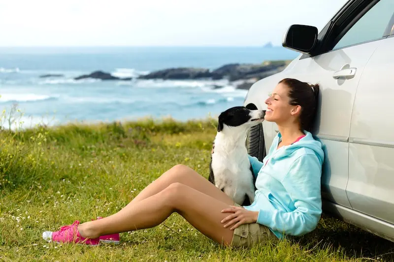 How To Reduce Dog Travel Anxiety For Happier Summer Adventures - VETIQ (3) - VETIQ Healthy+ How To Reduce Dog Travel Anxiety For Happier Summer Adventures - VETIQ (3)