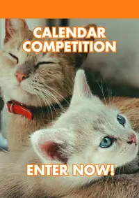 Enter Now: Promo image with two kittens; bold orange banner at top reads 'Calendar Competition' and bottom text 'Enter Now!' conveying a contest invitation