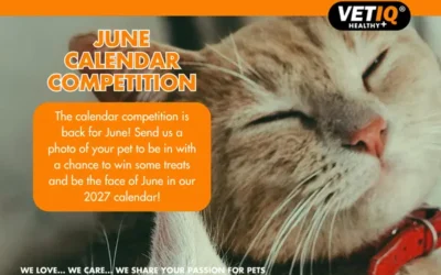 VETIQ Calendar Competition – June 2026