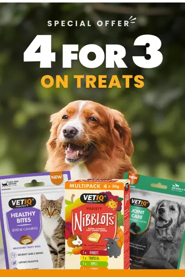 VETIQ 4 for 3 Treats Banner Sidebar 240 x 360
